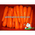 Nueva cosecha Carrot / Fresh carrot / China zanahoria de Brother kingdom